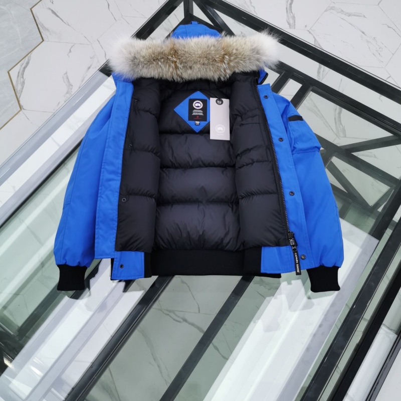 Moncler Down Coat